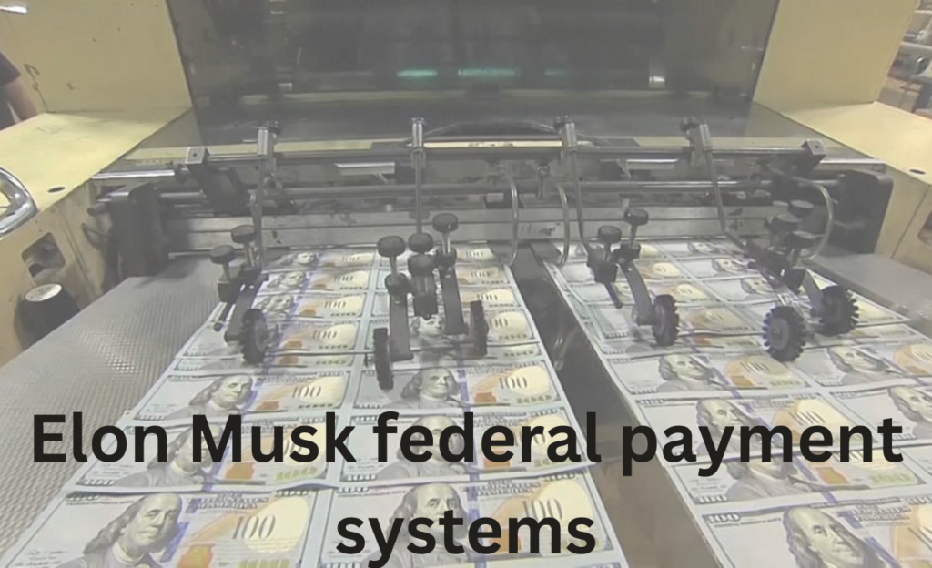 Musk now has access to federal payment systems. What does that mean?
